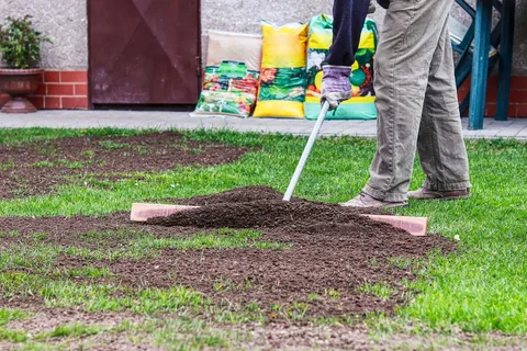 The Ultimate Guide to Lawn Rolling and Leveling for a Healthy Yard