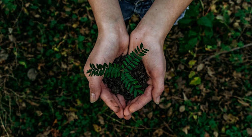 Decoding Your Health: The Power of Natural Medicine Consultations